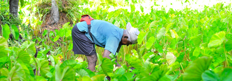 Agriculteur